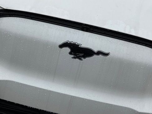 New 2026 Ford Mustang Mach-E Premium w/ Technology Package image 4