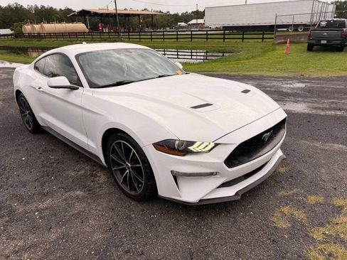 Used 2020 Ford Mustang Coupe w/ Equipment Group 101A RWD image 4
