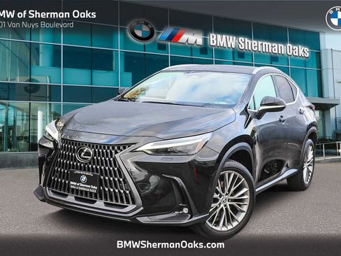 Used 2024 Lexus NX 350 Luxury image 1