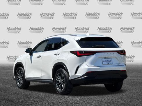 Used 2024 Lexus NX 350h AWD image 7