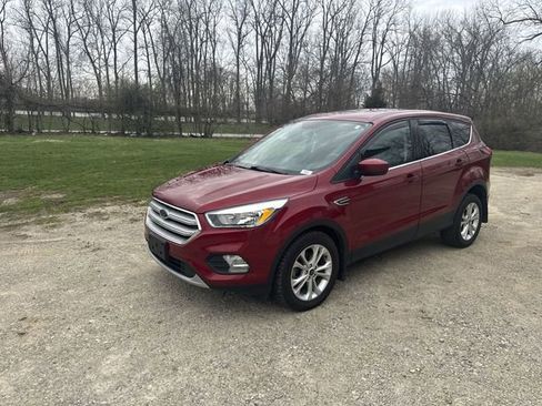 Used 2019 Ford Escape SE image 5
