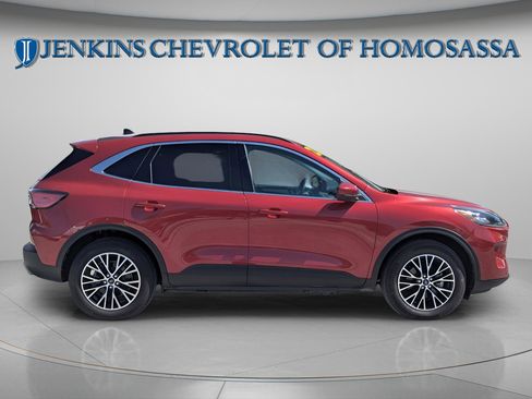 Used 2022 Ford Escape Titanium w/ Titanium Premium Package FWD image 3