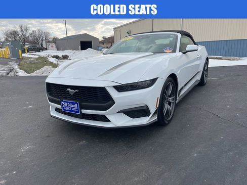 Used 2025 Ford Mustang Premium w/ Wheel & Stripe Package image 8