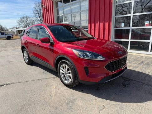 Used 2021 Ford Escape SE w/ Cold Weather Package image 2