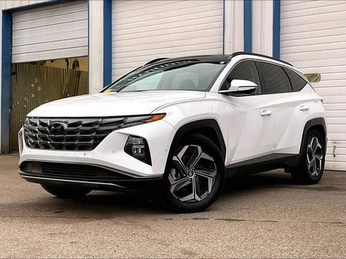 Used 2023 Hyundai Tucson Limited image 2