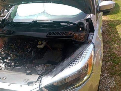 Used 2019 Ford Escape SE image 12