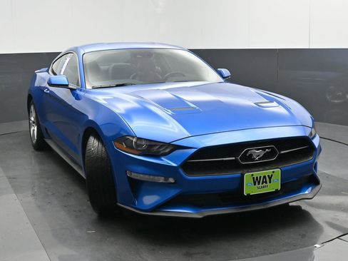 Used 2019 Ford Mustang Premium w/ Equipment Group 201A image 8