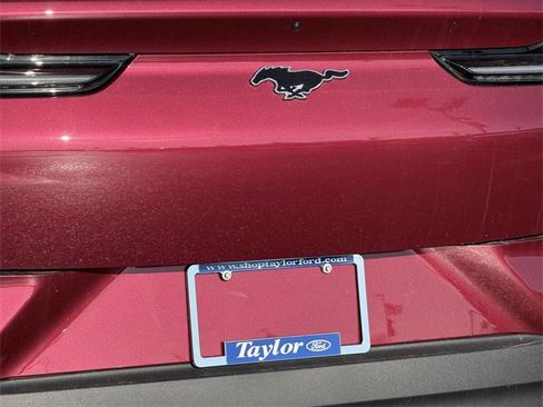 New 2025 Ford Mustang Mach-E Premium w/ Interior Protection Package image 7