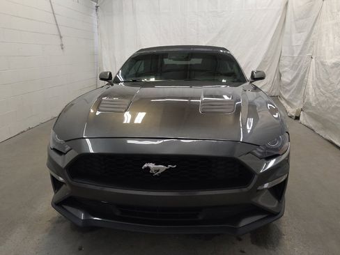 Used 2019 Ford Mustang Premium w/ Equipment Group 201A image 15