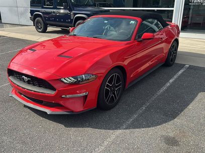 Used 2019 Ford Mustang Premium