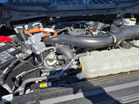 Used 2025 Ford F150 XLT w/ Equipment Group 302A MID AWD/4WD image 21