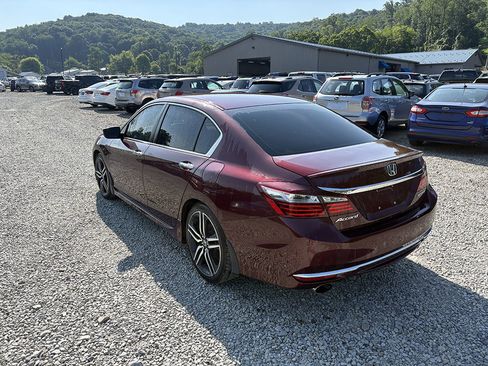 Used 2016 Honda Accord Sport image 4