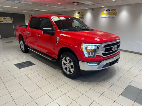 Used 2023 Ford F150 XLT w/ Equipment Group 302A High AWD/4WD image 1