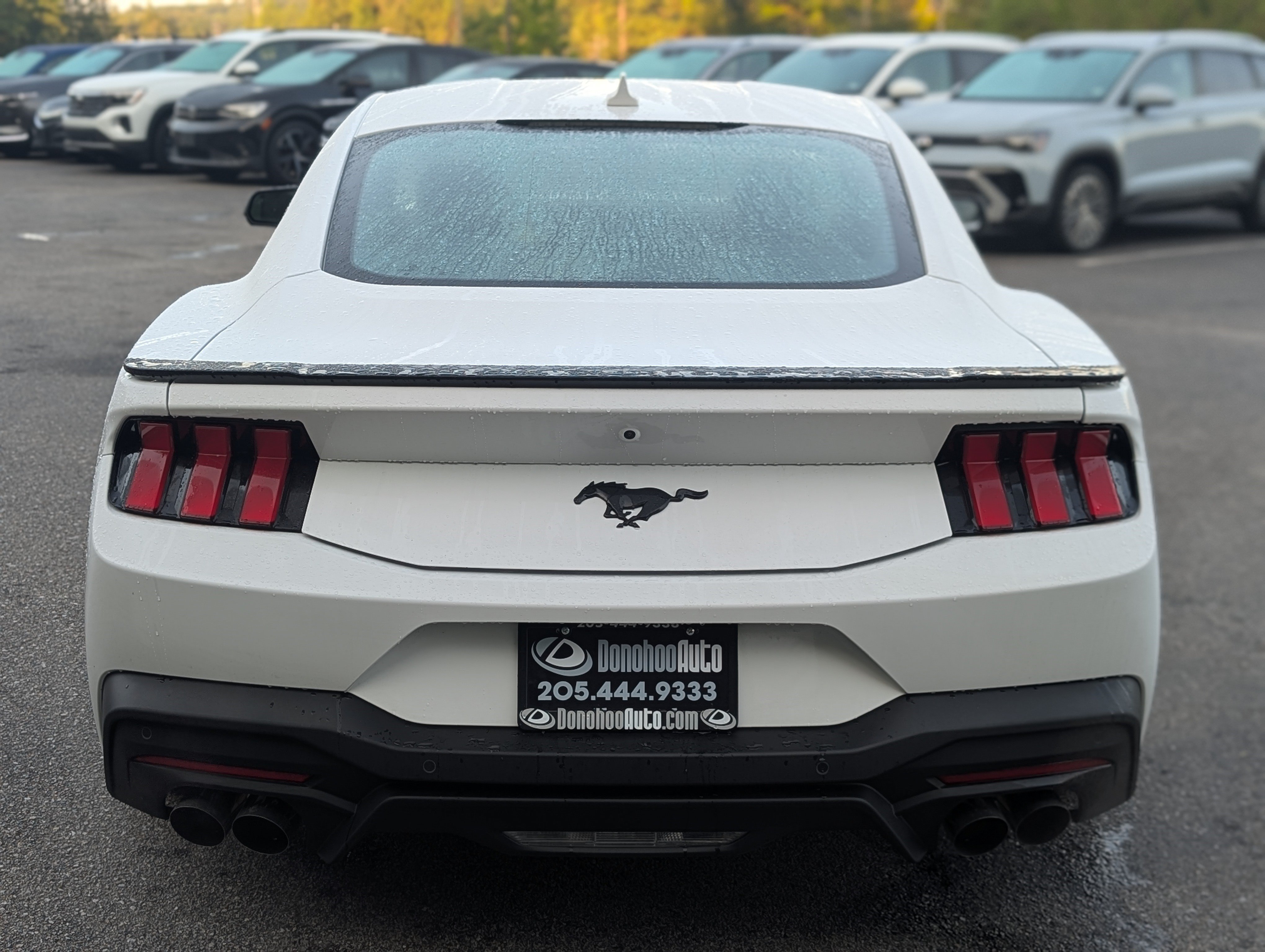 Used 2026 Ford Mustang Premium RWD image 8