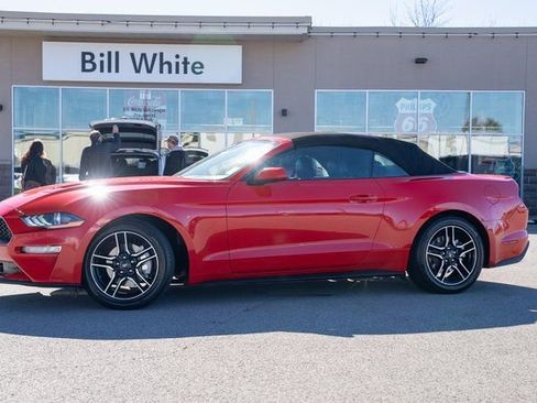 Used 2023 Ford Mustang Premium image 1