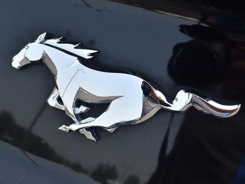 Used 2020 Ford Mustang Premium image 10