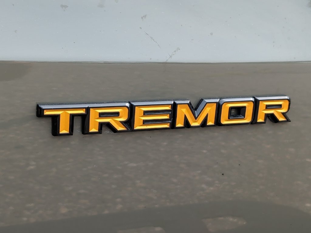 Used 2025 Ford Expedition Tremor AWD/4WD image 42