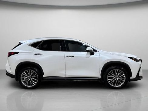 Used 2025 Lexus NX 350h AWD w/ Cold Area Package image 2