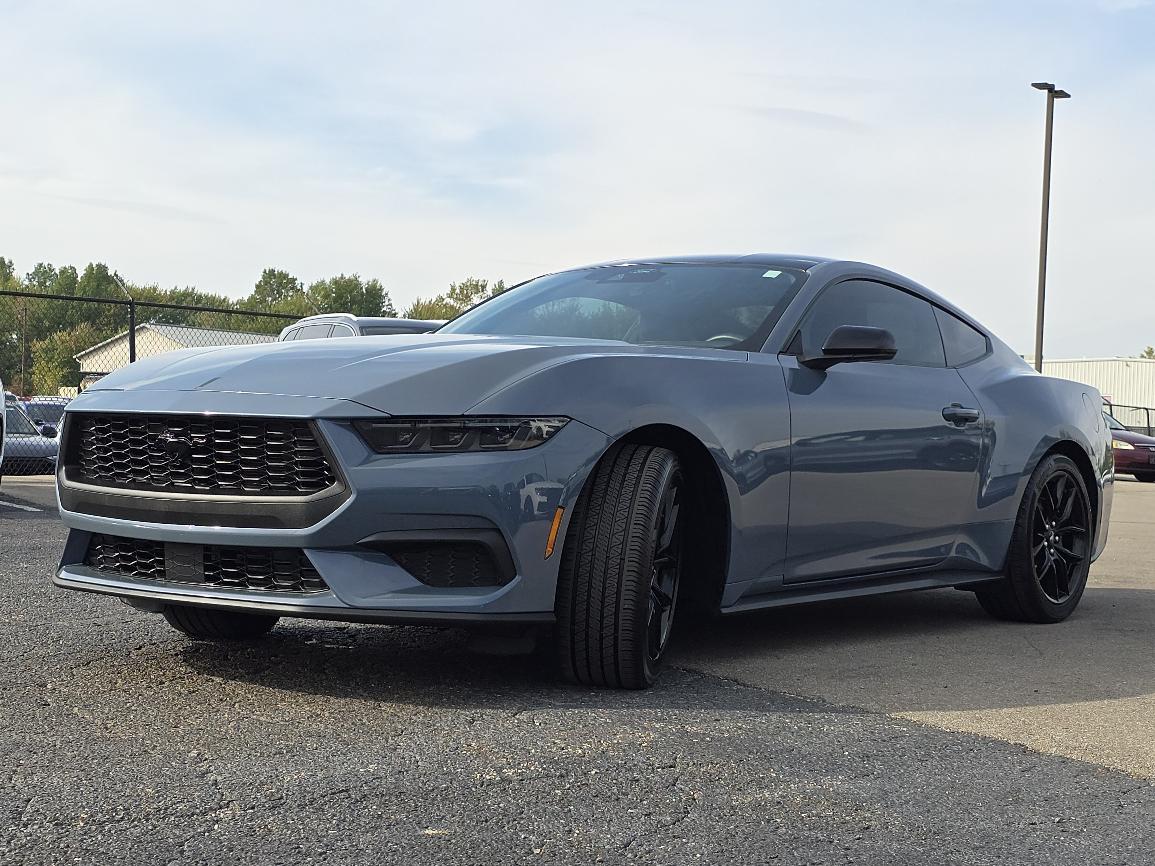 Used 2024 Ford Mustang Premium w/ Mustang Nite Pony Package RWD image 3