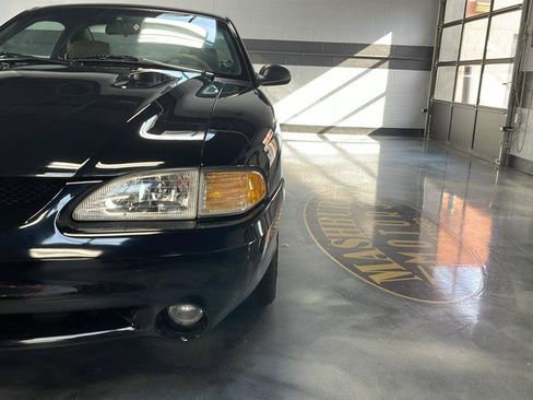 Used 1996 Ford Mustang Cobra RWD image 4