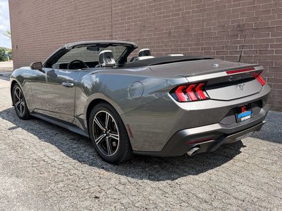 Used 2024 Ford Mustang Premium