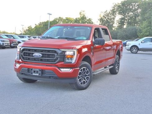 Used 2023 Ford F150 XLT w/ Equipment Group 302A High AWD/4WD image 2