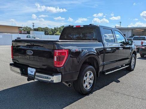 Used 2023 Ford F150 XLT w/ Equipment Group 302A High AWD/4WD image 3