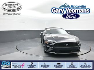 Certified 2021 Ford Mustang Premium w/ Equipment Group 201A video 1