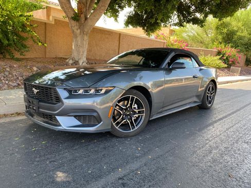 Used 2025 Ford Mustang Premium RWD image 60