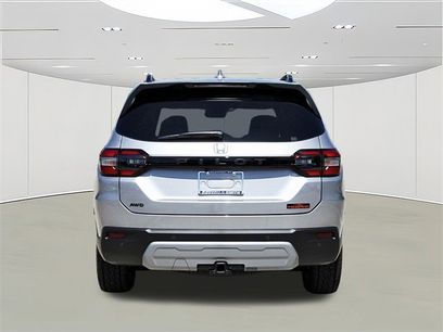 New 2025 Honda Pilot TrailSport