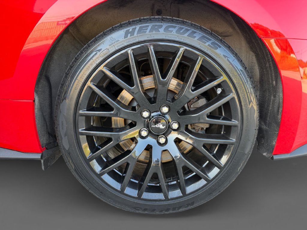 Used 2019 Ford Mustang GT Premium w/ GT Performance Package RWD image 11