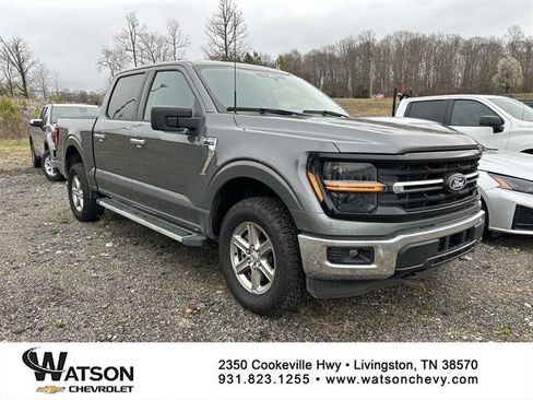 Used 2025 Ford F150 XLT w/ Equipment Group 301A Standard image 1