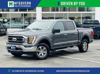 Used 2023 Ford F150 XLT w/ Equipment Group 302A High AWD/4WD video 1