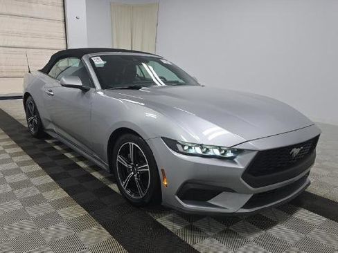 Used 2024 Ford Mustang Premium image 1