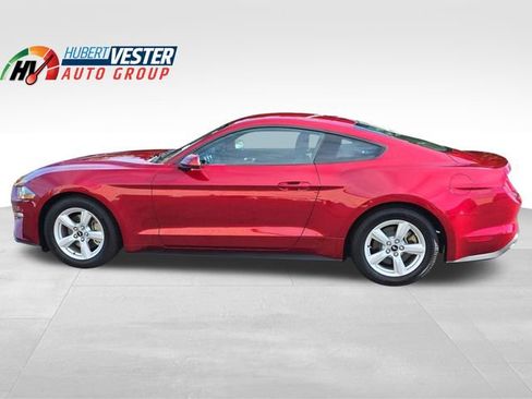 Used 2019 Ford Mustang Coupe image 1