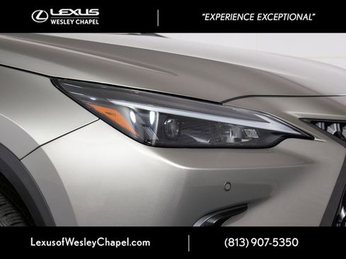 Used 2024 Lexus NX 250 FWD w/ Cold Area Package image 3