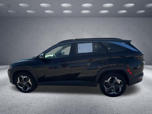 Used 2024 Hyundai Tucson Limited AWD/4WD image 6