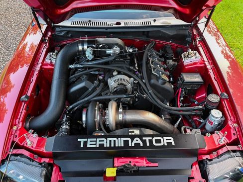 Used 2003 Ford Mustang Cobra image 3