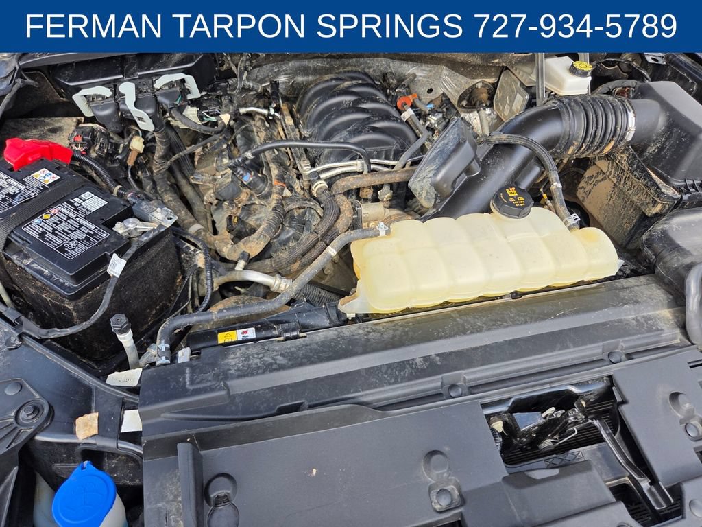 Used 2025 Ford F150 XLT w/ Equipment Group 301A Standard RWD image 20