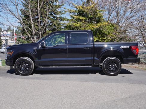 Certified 2025 Ford F150 XLT w/ Equipment Group 302A MID image 3