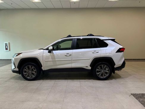 Certified 2024 Toyota RAV4 XLE Premium image 3