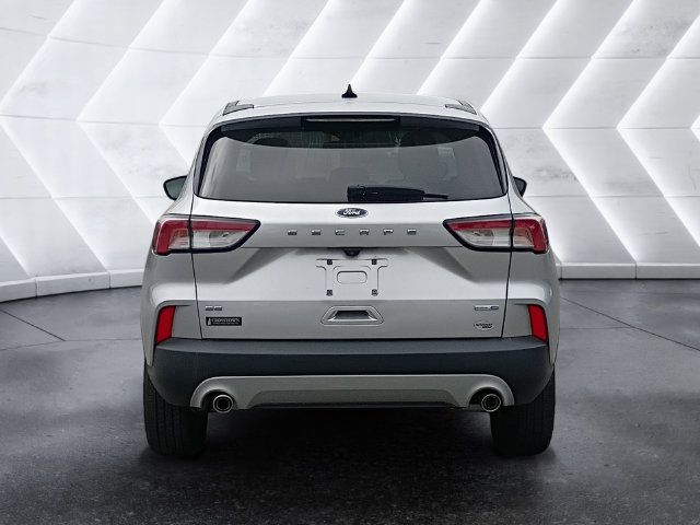 Used 2020 Ford Escape SE AWD/4WD image 5