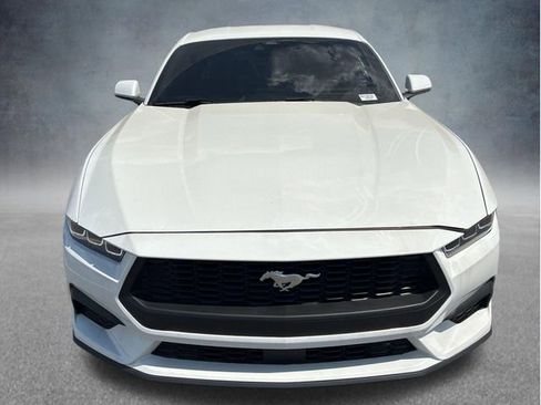 Used 2024 Ford Mustang Premium RWD image 3