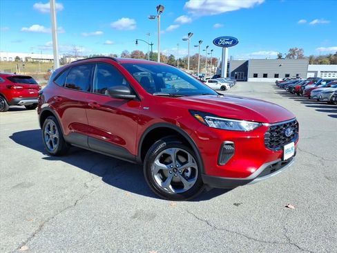 Used 2025 Ford Escape ST-Line w/ Tech Pack #1 image 3