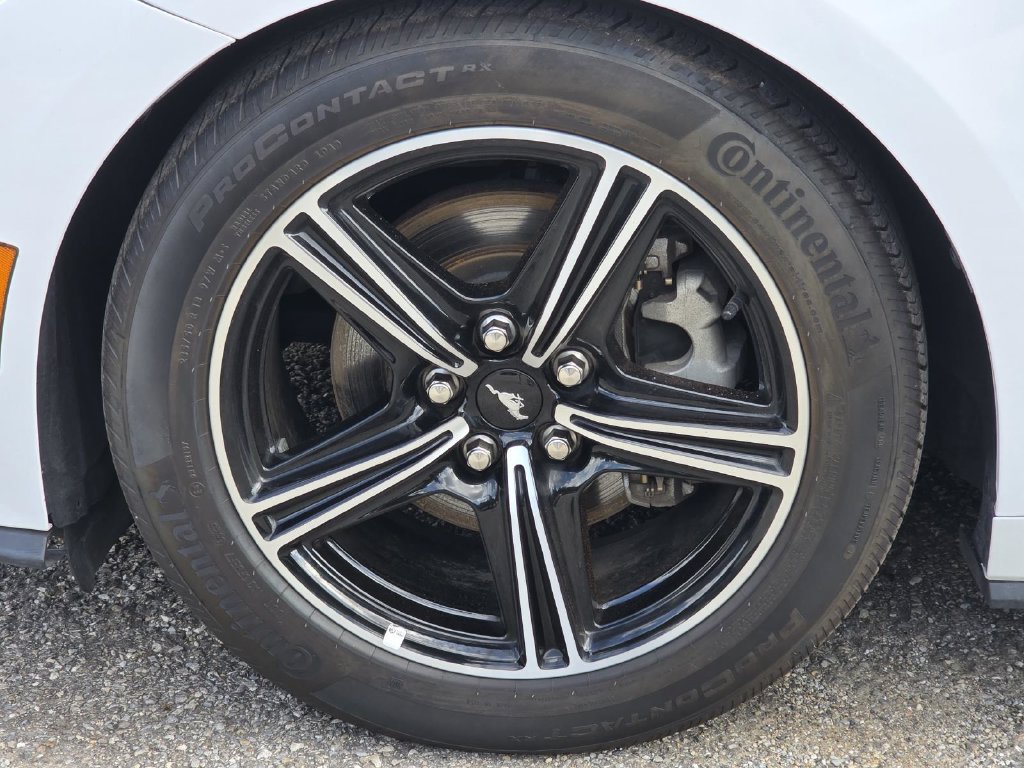 Used 2025 Ford Mustang Premium RWD image 7