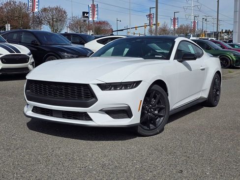 New 2026 Ford Mustang Premium w/ Mustang Nite Pony Package image 1