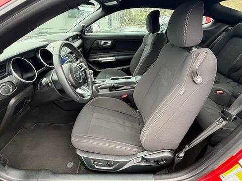 Certified 2023 Ford Mustang EcoBoost w/ Equipment Group 101A image 11