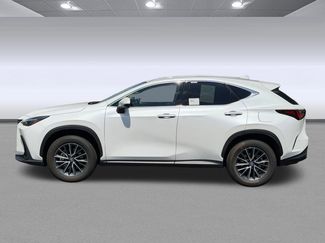 Used 2025 Lexus NX 350 AWD w/ Cold Area Package video 2