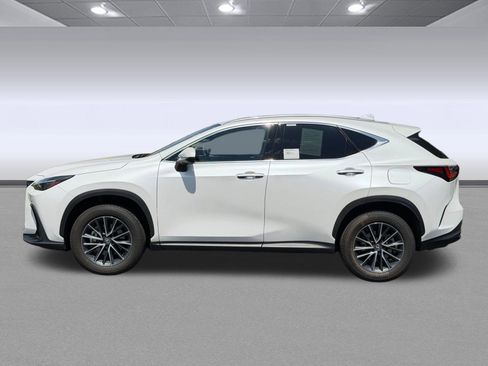 Used 2025 Lexus NX 350 AWD w/ Cold Area Package image 2