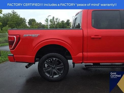 Used 2023 Ford F150 XLT w/ Equipment Group 302A High AWD/4WD image 9